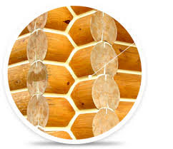images (1)